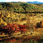 �����ܱ߷羰