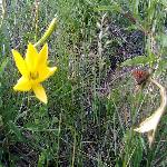 �����ܱ߷羰